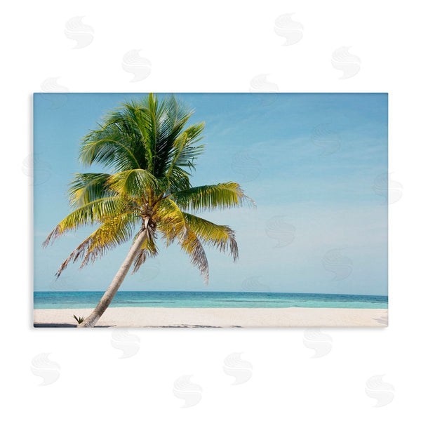 stupell industries Danita Delimont | Barrier Reef Island Palm