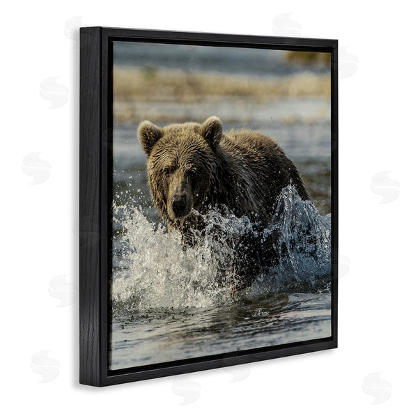 Stupell Industries Danita Delimont | Bear Splashing In River