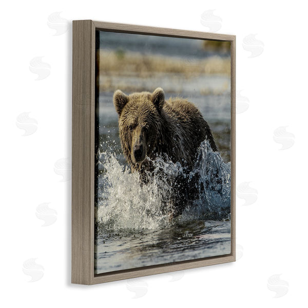 Stupell Industries Danita Delimont | Bear Splashing In River