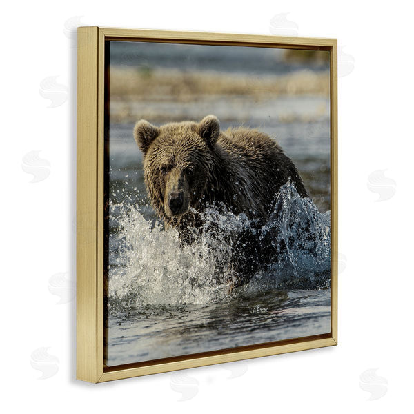 Stupell Industries Danita Delimont | Bear Splashing In River