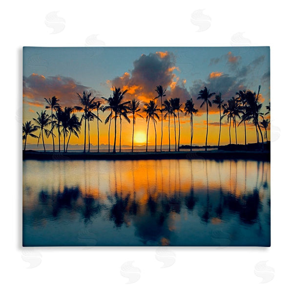 stupell industries Danita Delimont | Big Island Sunset