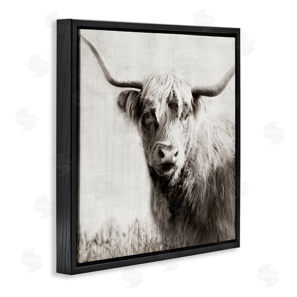 Stupell Industries Danita Delimont | Black & White Highland Cow