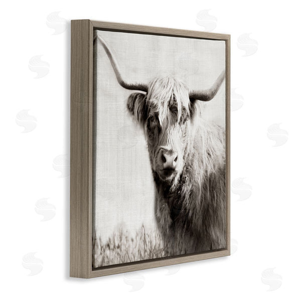 Stupell Industries Danita Delimont | Black & White Highland Cow