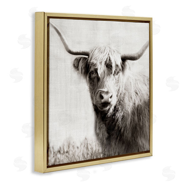 Stupell Industries Danita Delimont | Black & White Highland Cow