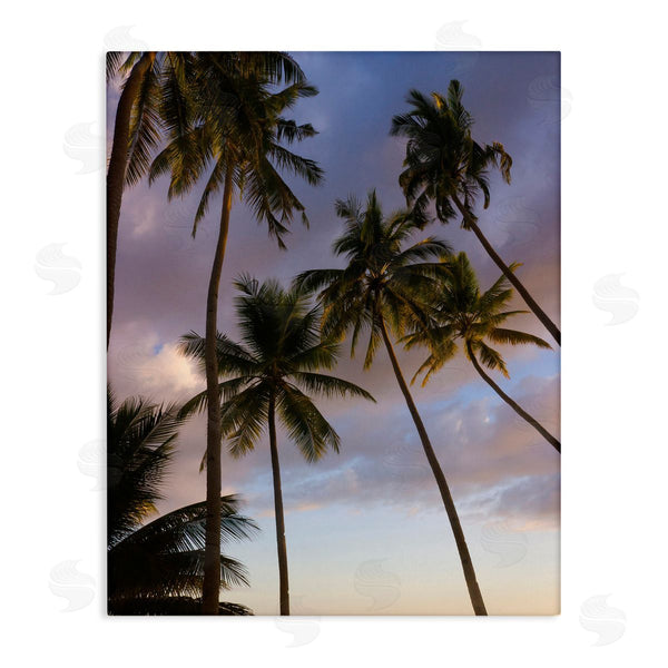 stupell industries Danita Delimont | Bohol Island Palms
