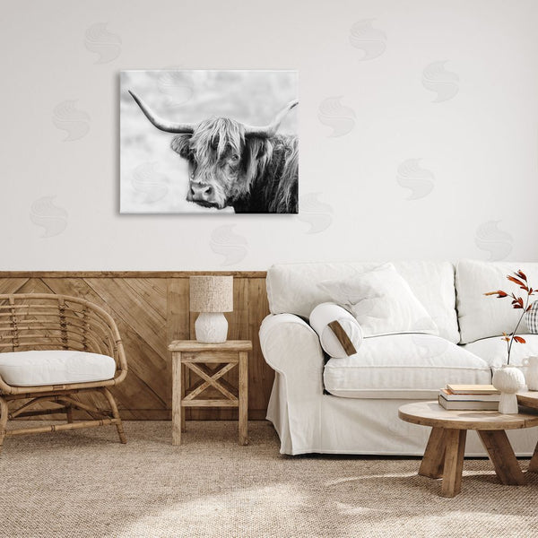 Stupell Industries Danita Delimont | Bold Country Cattle Black White Photography Wild Animal Wall Art