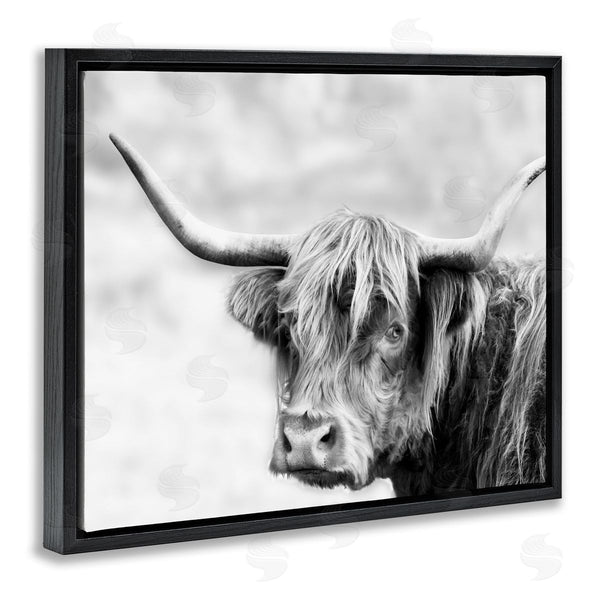 Stupell Industries Danita Delimont | Bold Country Cattle Black White Photography Wild Animal Wall Art