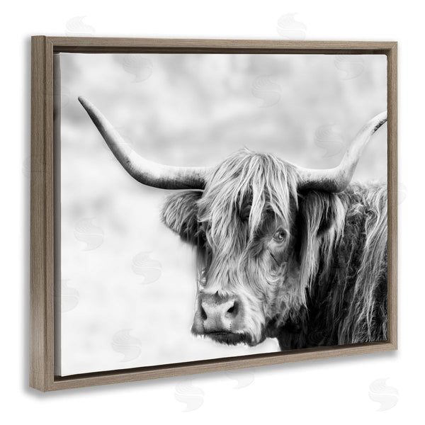 Stupell Industries Danita Delimont | Bold Country Cattle Black White Photography Wild Animal Wall Art