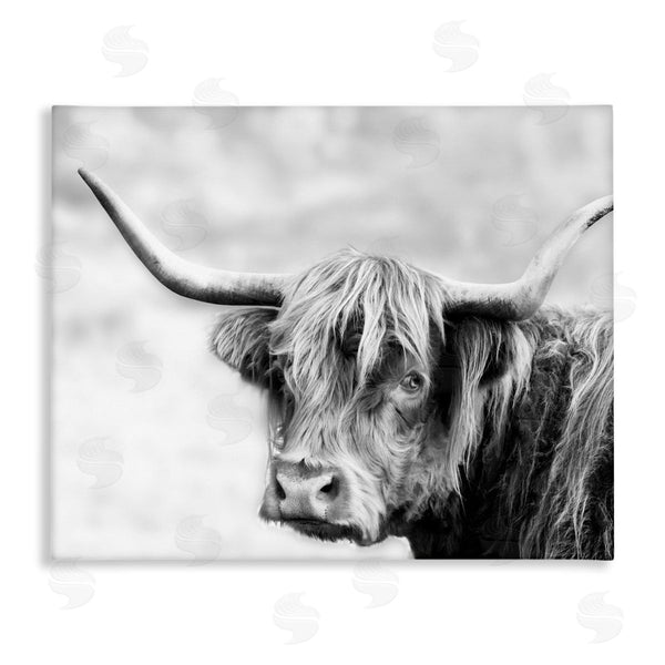 stupell industries Danita Delimont | Bold Country Cattle Black White Photography Wild Animal Wall Art