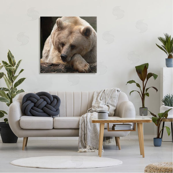 Stupell Industries Danita Delimont | Brown Bear Forest Wildlife Wall Art