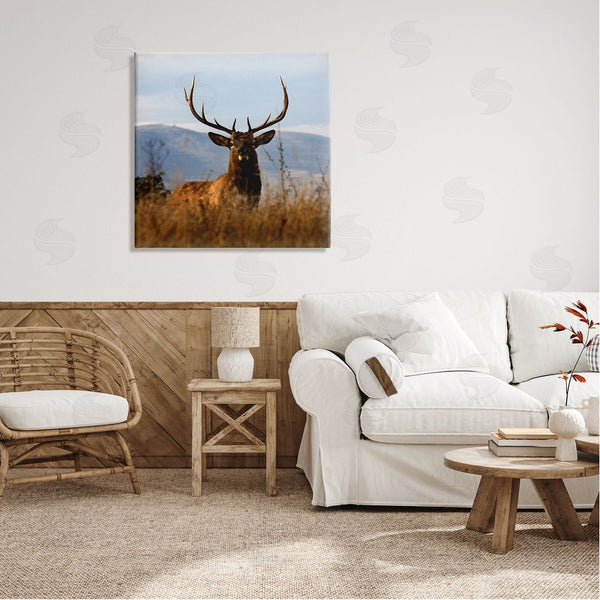 Stupell Industries Danita Delimont | Buck In Tall Grass Landscape Wall Art