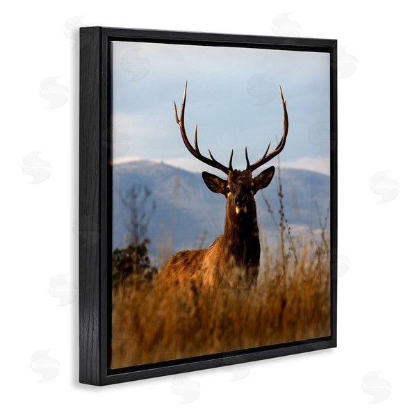 Stupell Industries Danita Delimont | Buck In Tall Grass Landscape Wall Art