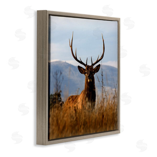 Stupell Industries Danita Delimont | Buck In Tall Grass Landscape Wall Art