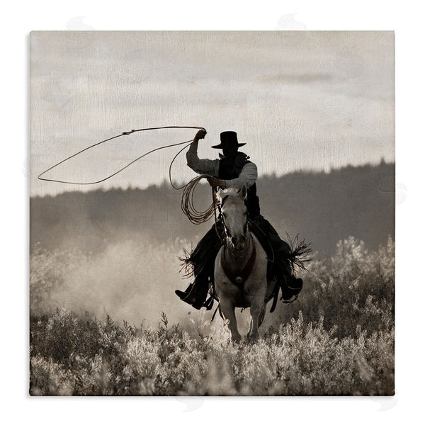stupell industries Danita Delimont | Cowboy Lasso Western Photography Wall Art