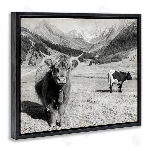 Stupell Industries Danita Delimont | Curious Ox Clueless Cow Sublime Farm Plains Wall Art