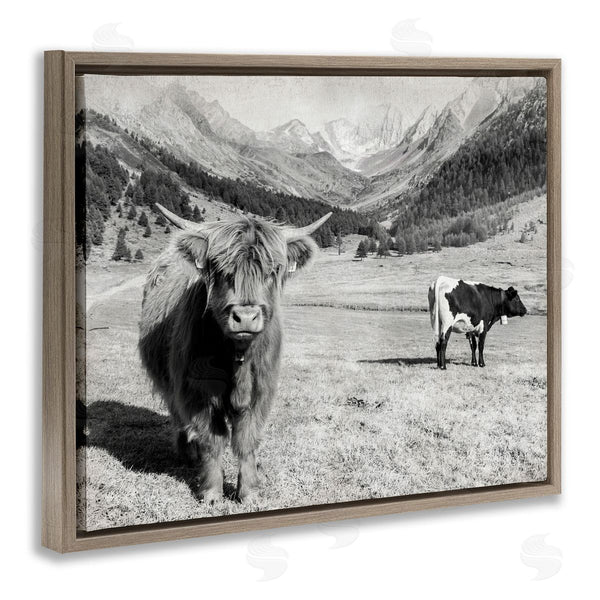 Stupell Industries Danita Delimont | Curious Ox Clueless Cow Sublime Farm Plains Wall Art