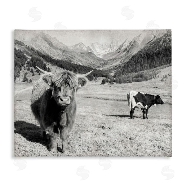 stupell industries Danita Delimont | Curious Ox Clueless Cow Sublime Farm Plains Wall Art