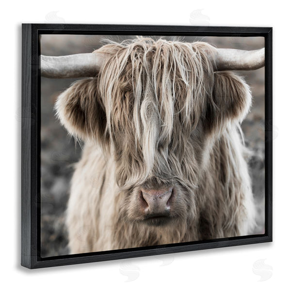 Stupell Industries Danita Delimont | Detailed Highlands Cattle Rural Farm Photography Wall Art