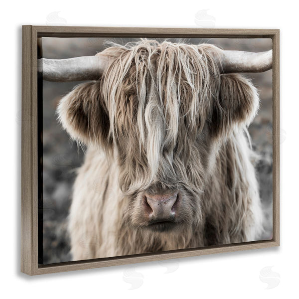Stupell Industries Danita Delimont | Detailed Highlands Cattle Rural Farm Photography Wall Art