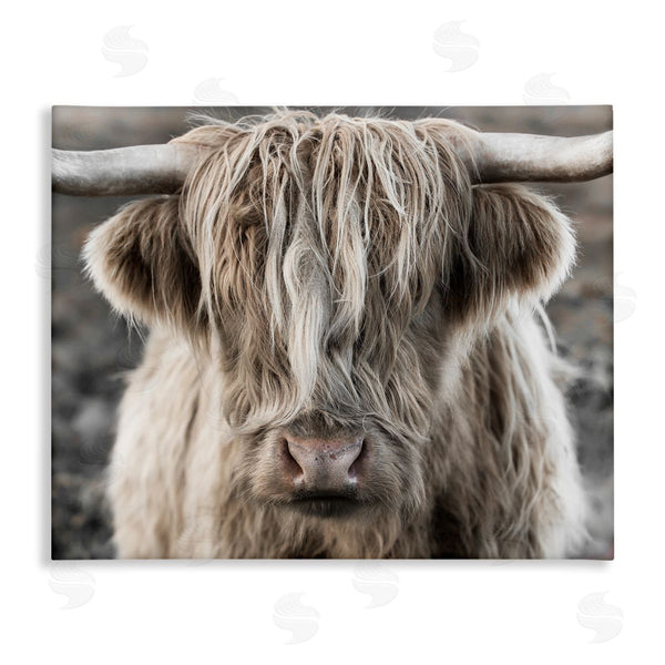 stupell industries Danita Delimont | Detailed Highlands Cattle Rural Farm Photography Wall Art