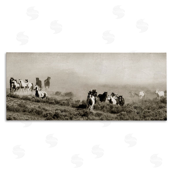 stupell industries Danita Delimont | Dust Up Horse Stampede