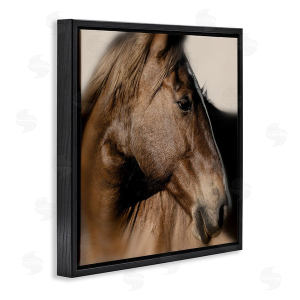 Stupell Industries Danita Delimont | Elegant Brown Horse Close Up