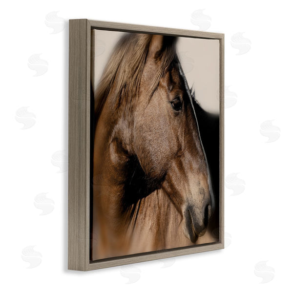 Stupell Industries Danita Delimont | Elegant Brown Horse Close Up