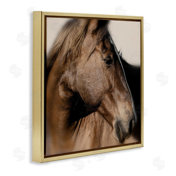 Stupell Industries Danita Delimont | Elegant Brown Horse Close Up