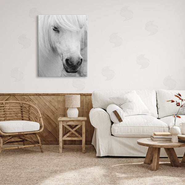 Stupell Industries Danita Delimont | Elegant White Horse Stallion Wall Art