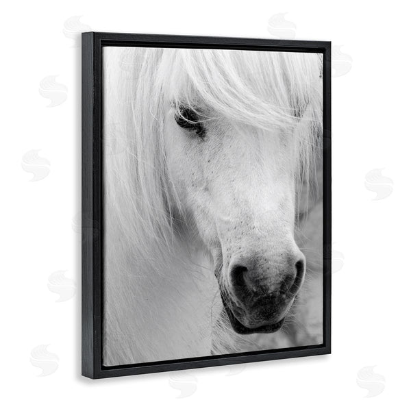 Stupell Industries Danita Delimont | Elegant White Horse Stallion Wall Art