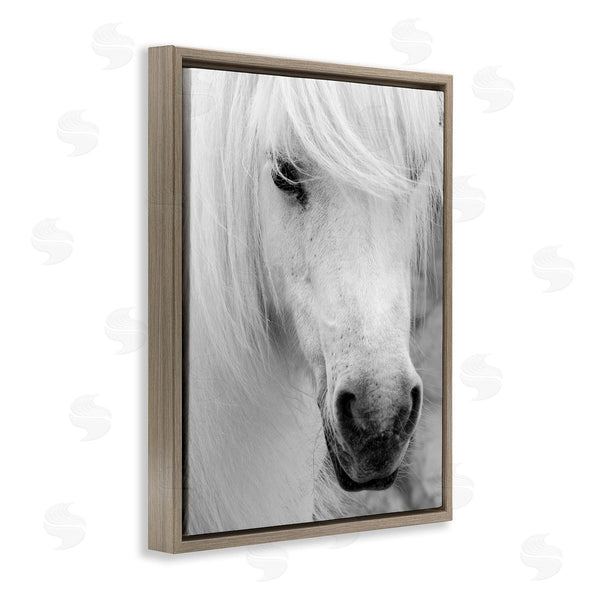 Stupell Industries Danita Delimont | Elegant White Horse Stallion Wall Art