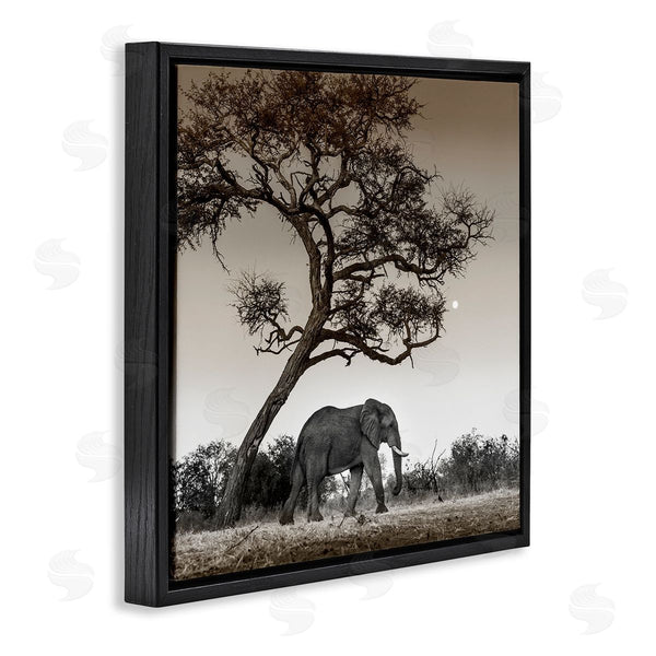 Stupell Industries Danita Delimont | Elephant & Curved Desert Tree