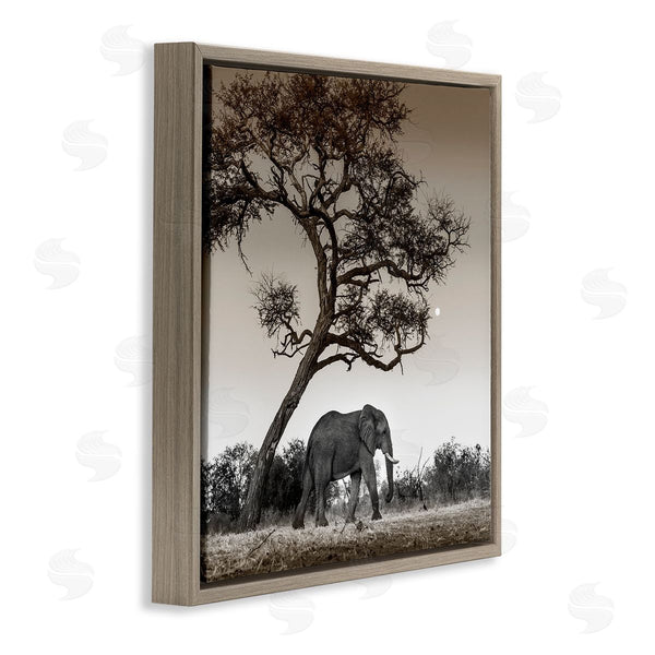 Stupell Industries Danita Delimont | Elephant & Curved Desert Tree