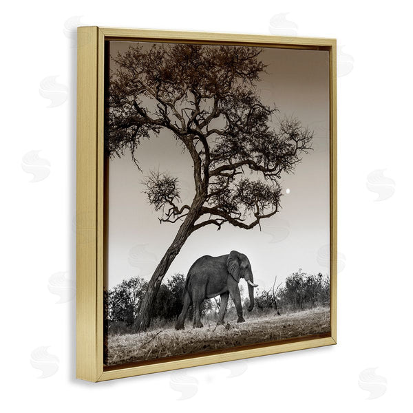 Stupell Industries Danita Delimont | Elephant & Curved Desert Tree