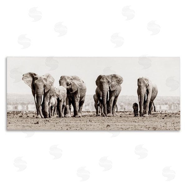 stupell industries Danita Delimont | Elephant Family on Savanna