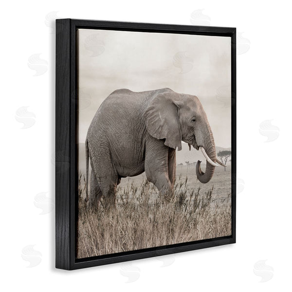 Stupell Industries Danita Delimont | Elephant Strolling Savanna