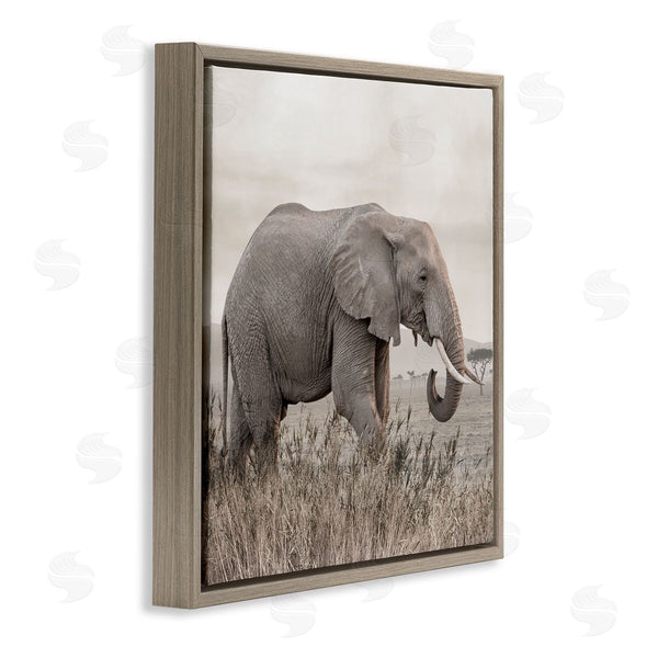 Stupell Industries Danita Delimont | Elephant Strolling Savanna