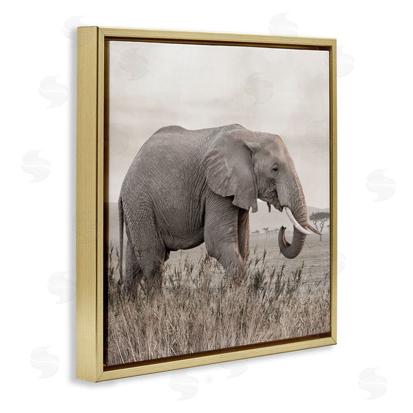 Stupell Industries Danita Delimont | Elephant Strolling Savanna