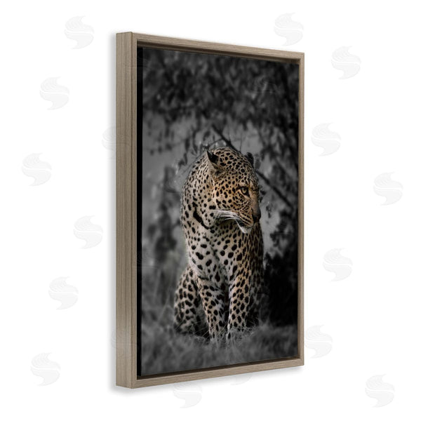 Stupell Industries Danita Delimont | Fierce Cheetah In Nature
