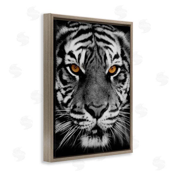 Stupell Industries Danita Delimont | Fierce Eyed Tiger Wall Art