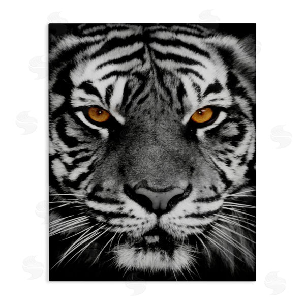 stupell industries Danita Delimont | Fierce Eyed Tiger Wall Art