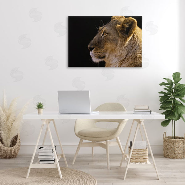 Stupell Industries Danita Delimont | Fierce Lion Looking Left Wall Art