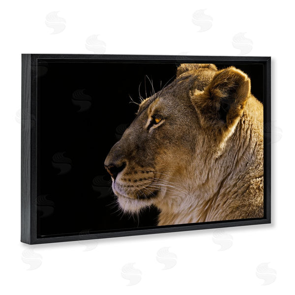 Stupell Industries Danita Delimont | Fierce Lion Looking Left Wall Art