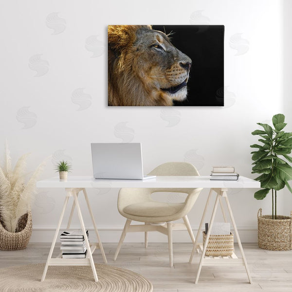 Stupell Industries Danita Delimont | Fierce Lion Looking Right Wall Art