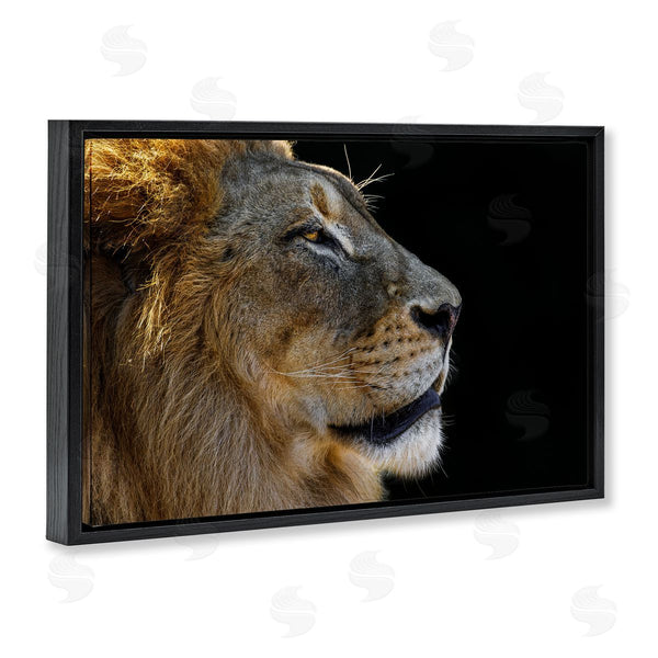 Stupell Industries Danita Delimont | Fierce Lion Looking Right Wall Art