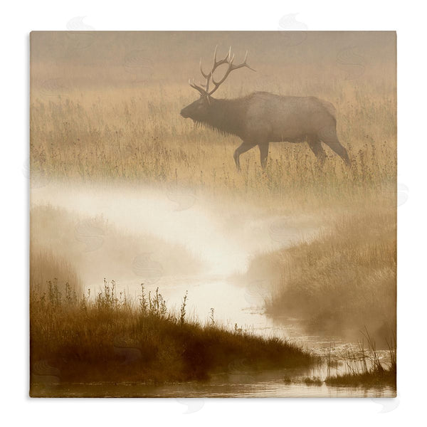 stupell industries Danita Delimont | Foggy River Deer Scene