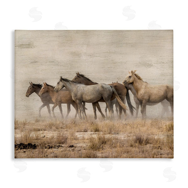 stupell industries Danita Delimont | Galloping Horse Herd Countryside Wall Art