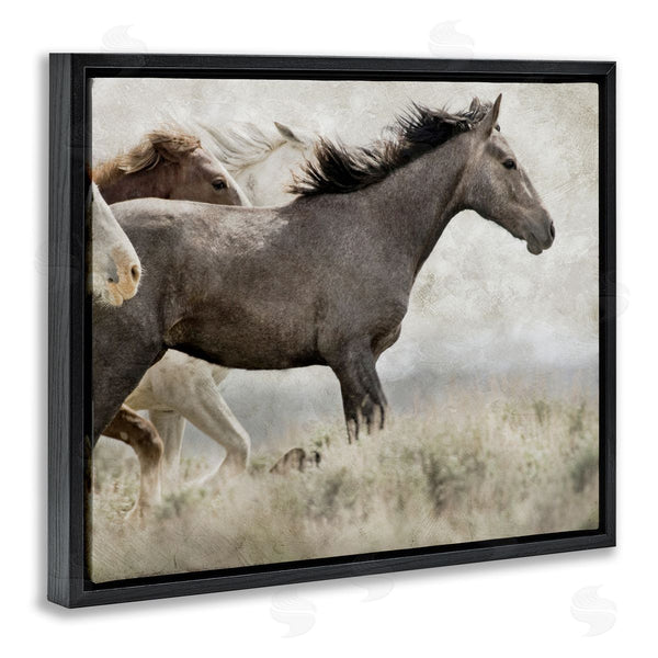 Stupell Industries Danita Delimont | Galloping Horse Herd Photography Wall Art