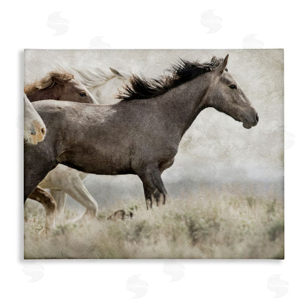 stupell industries Danita Delimont | Galloping Horse Herd Photography Wall Art