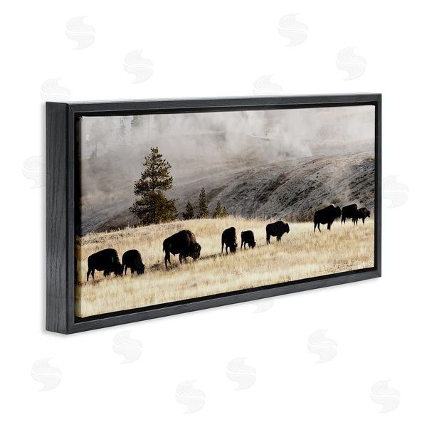 Stupell Industries Danita Delimont | Grazing Bison Foggy Countryside Wall Art